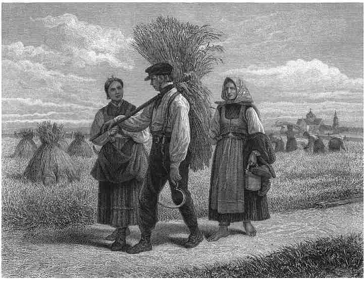 ��������� �������� � 17 ����, �������� ������