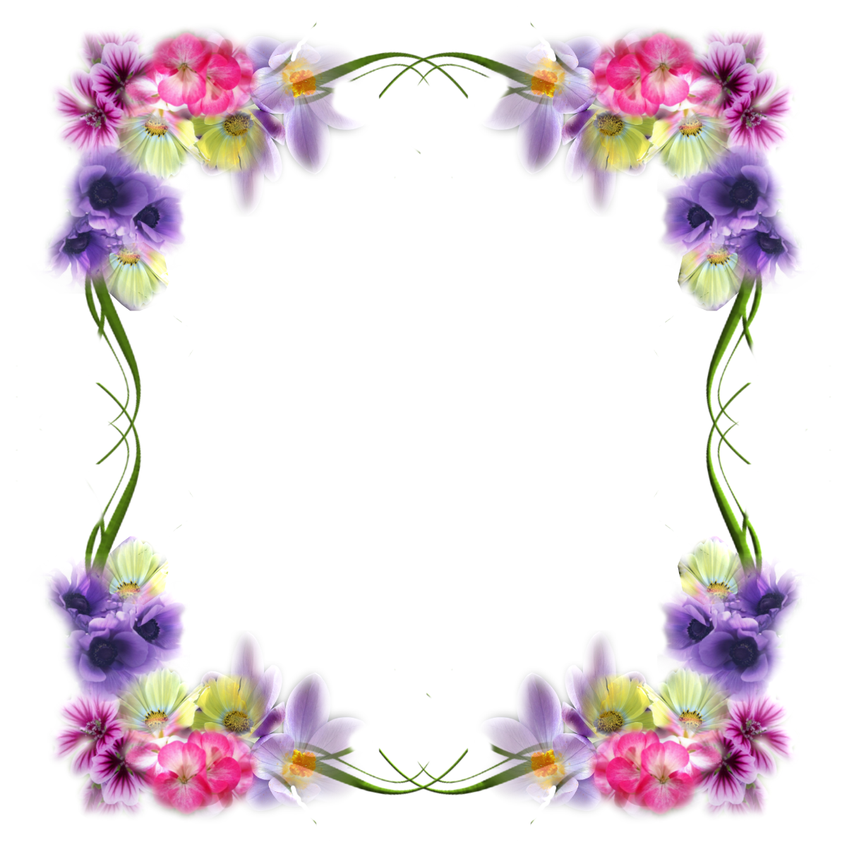 ����� �� ������ �� ��������, ��� ������������