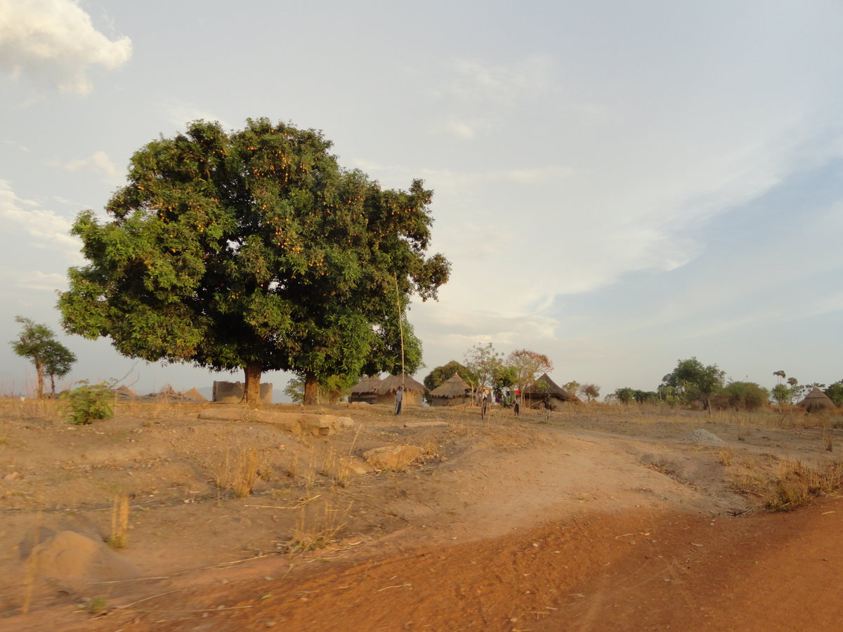 south sudan nature фото