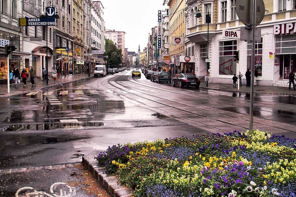 австрия линц осень фото