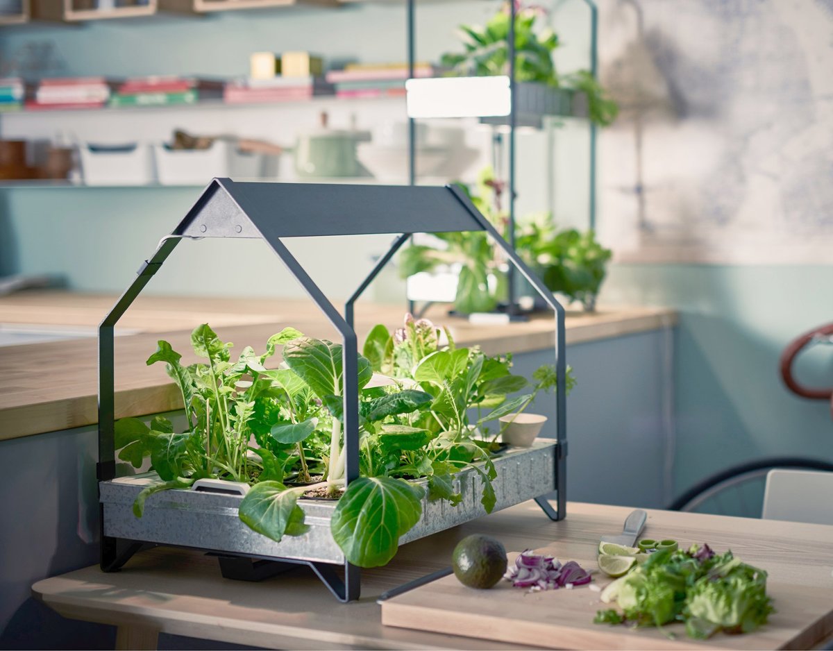 оборудование для выращивания зелени в домашних условиях