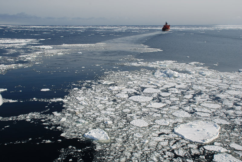 карское море россия фото
