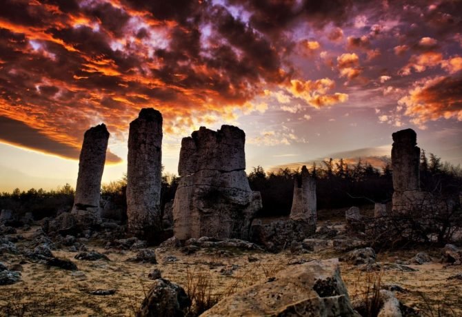 каменный лес варна фото