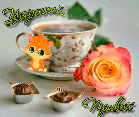 ����� ���, �������� � �������� ���������� � � ������ ����� ������������