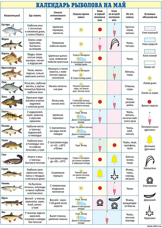Прогноз клёва рыбы в волгоградской области