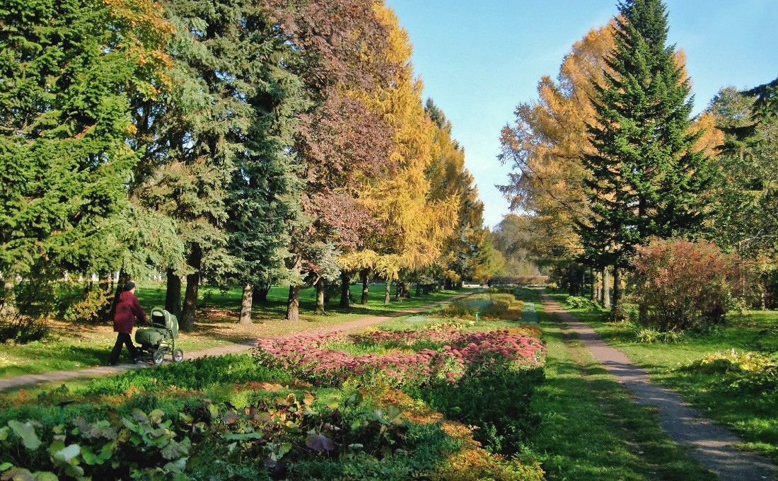ботанический сад витебск фото