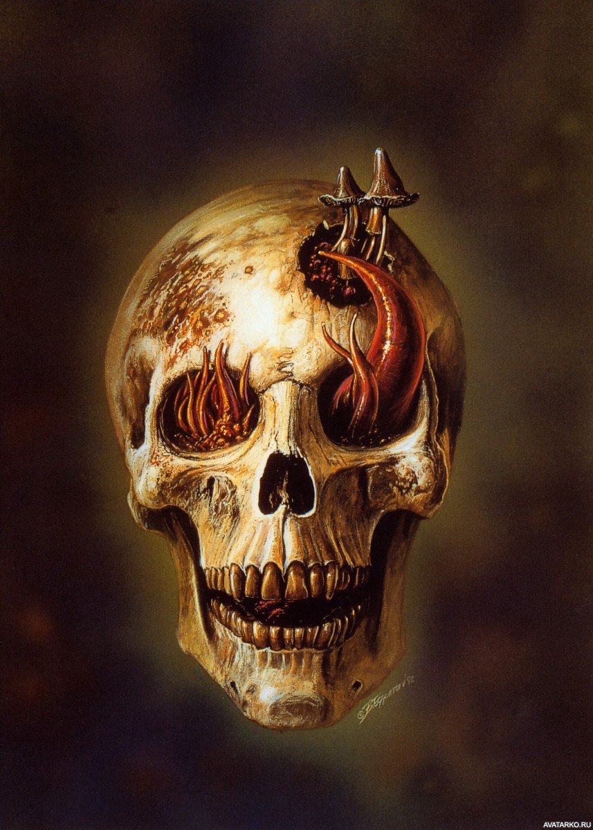 �������� �������� � �������