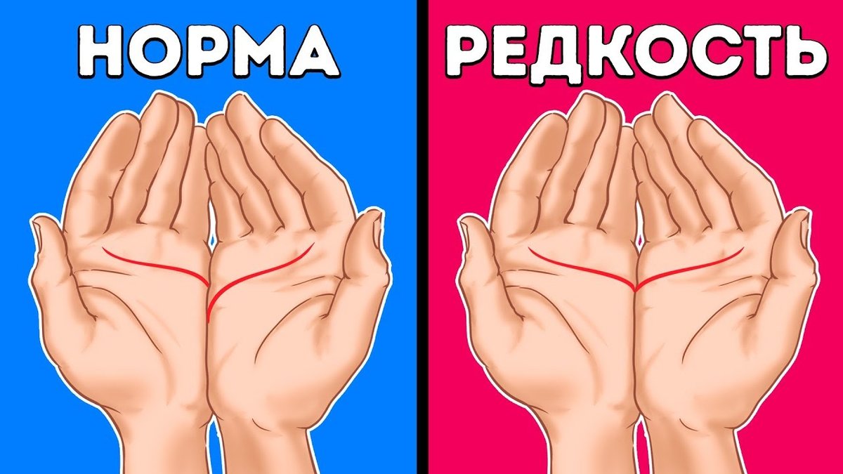 ладони фото