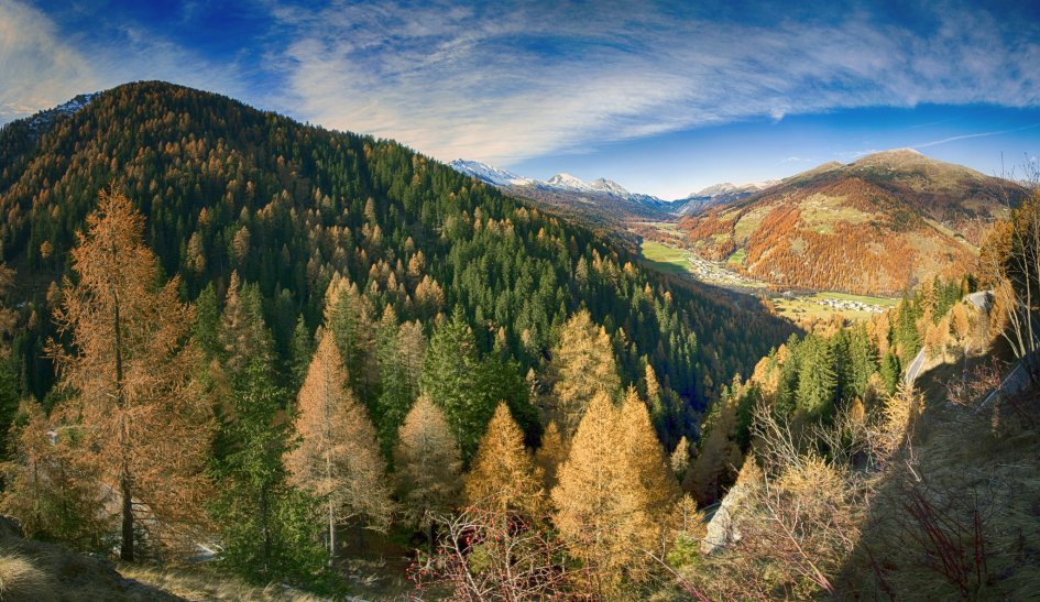 швейцарский национальный парк энгадин фото