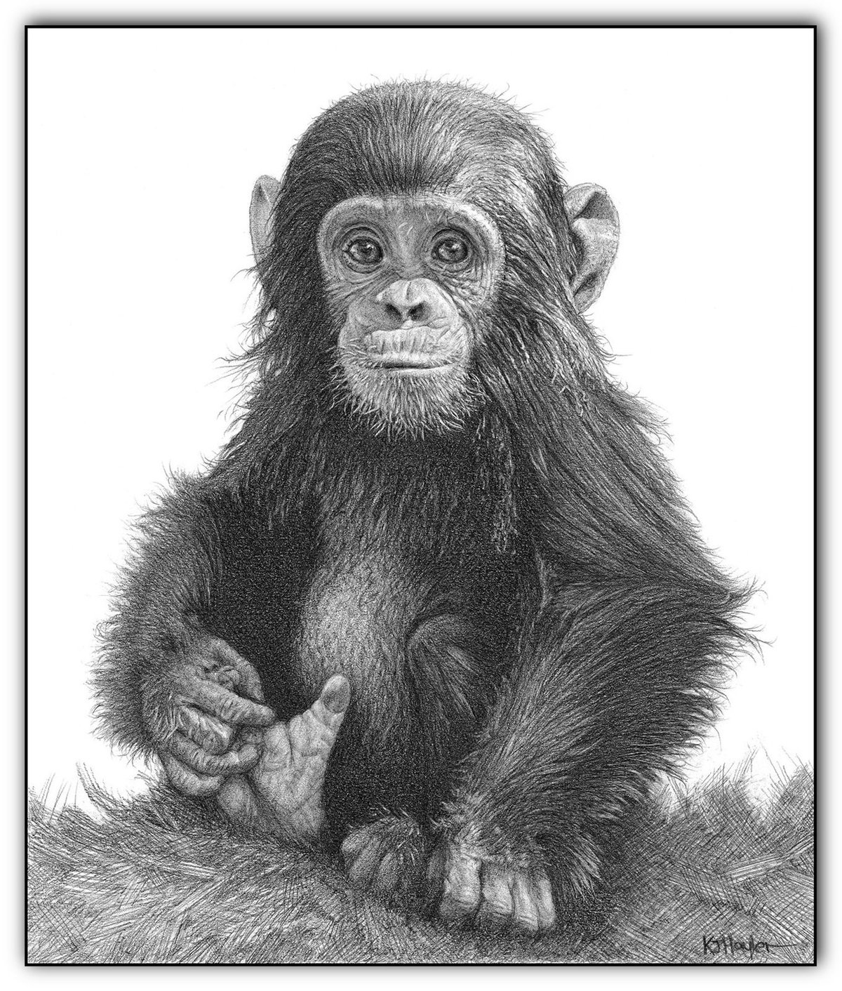 Research monkeys picture