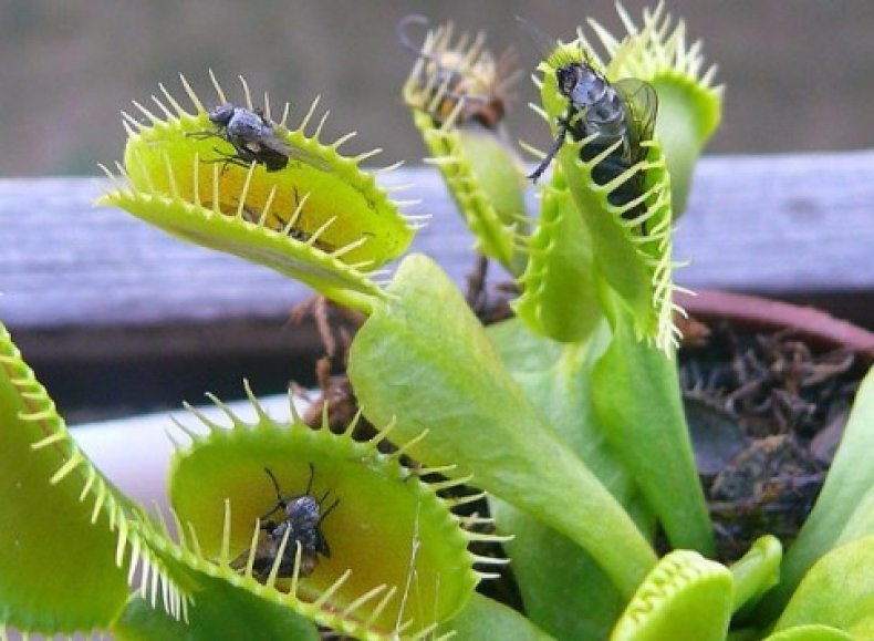 �������� � ������ ���� - 8