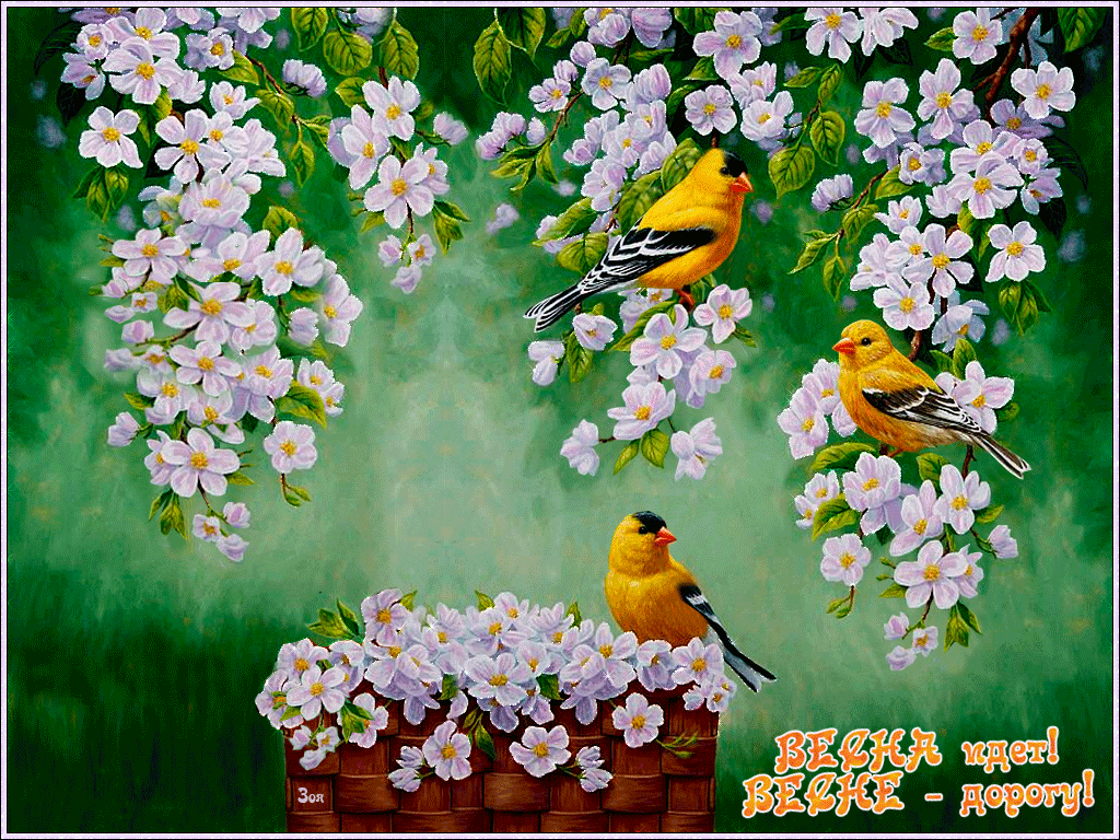 �������� �������� ����� ��������, ������