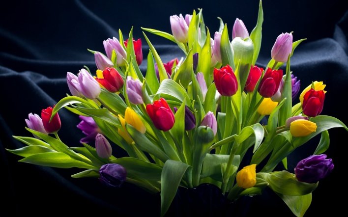 композиция из разноцветных тюльпанов 