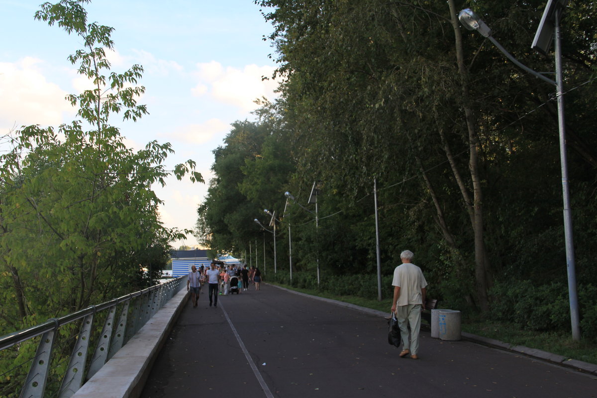 пучеж летний парк фото