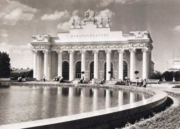 всхв вднх фото