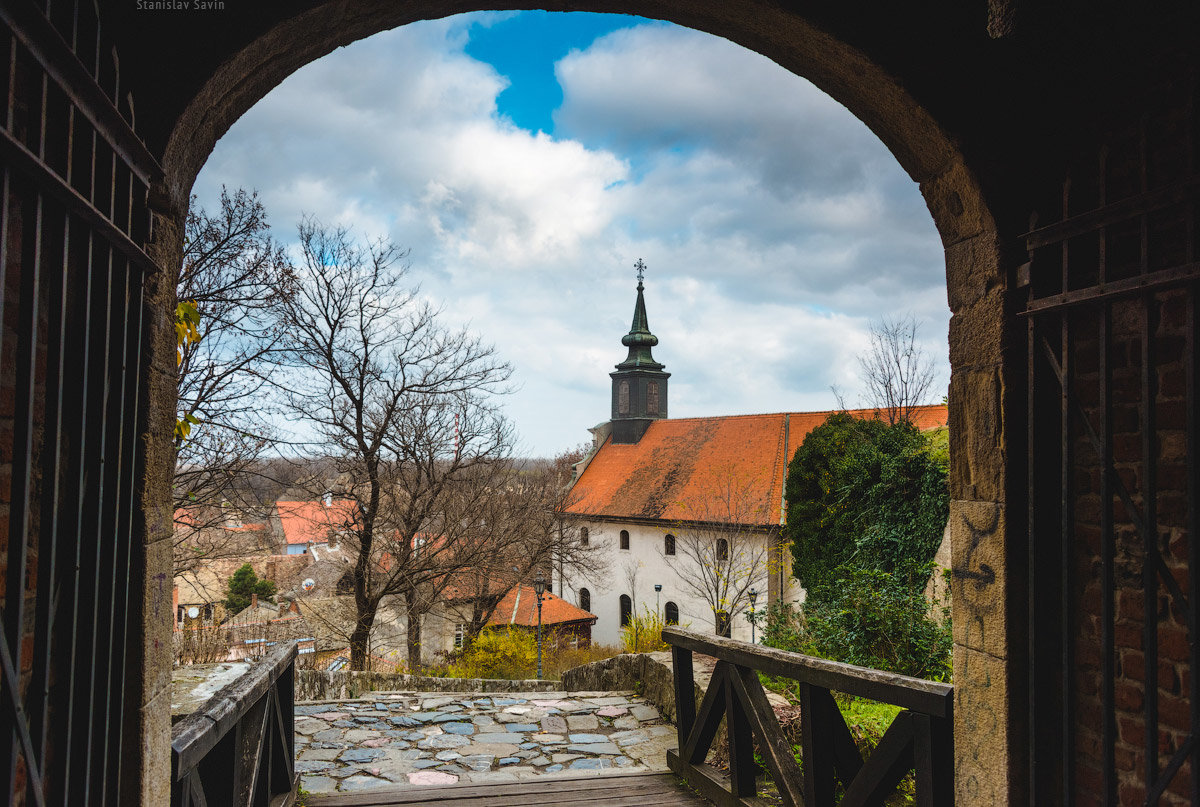 сербия нови сад фото
