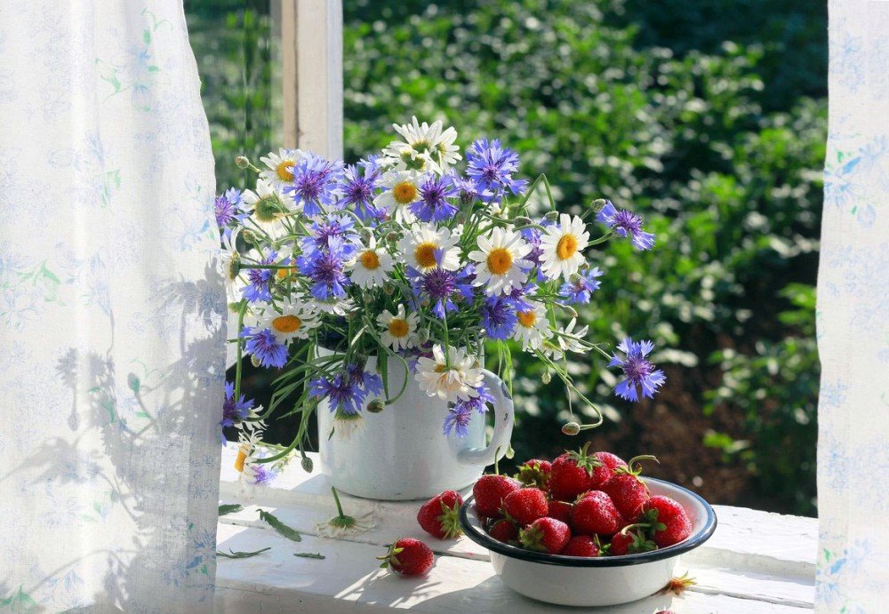 ���� ��������, �������� ������� �������� � ������ �����