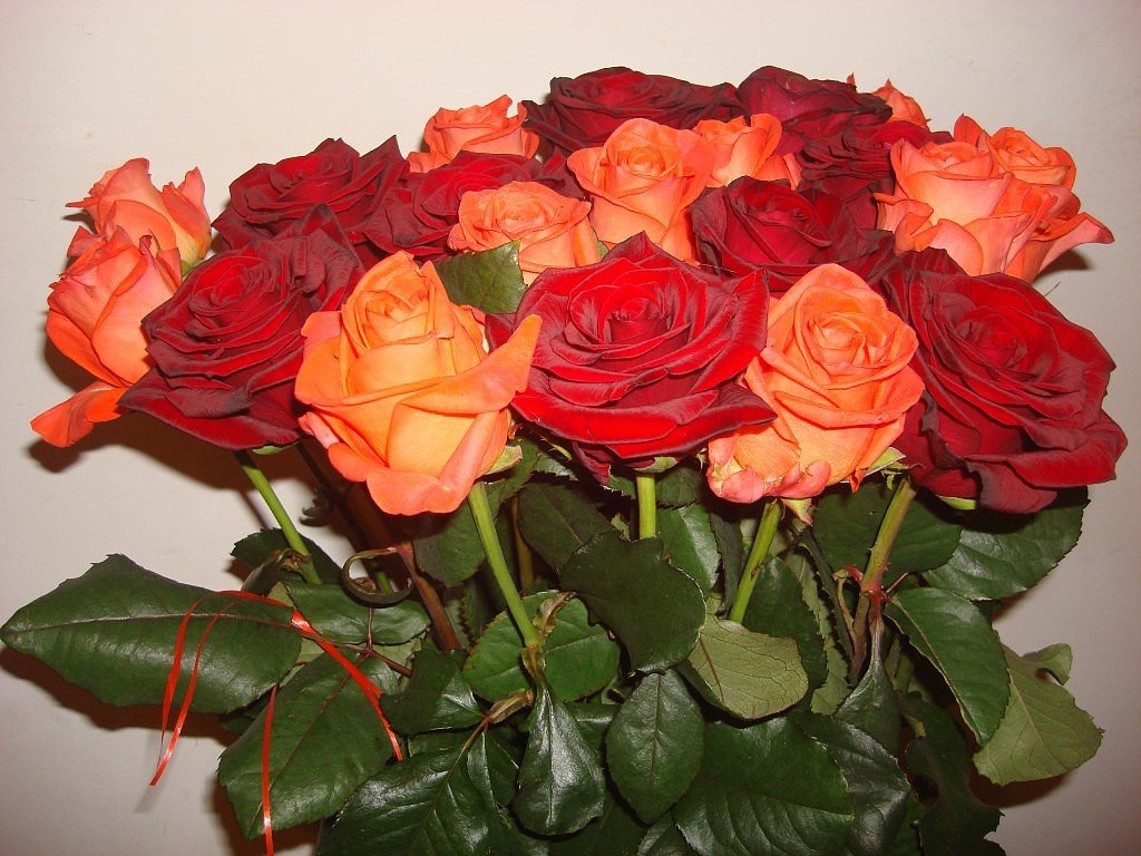 �������� ���� ��� ������