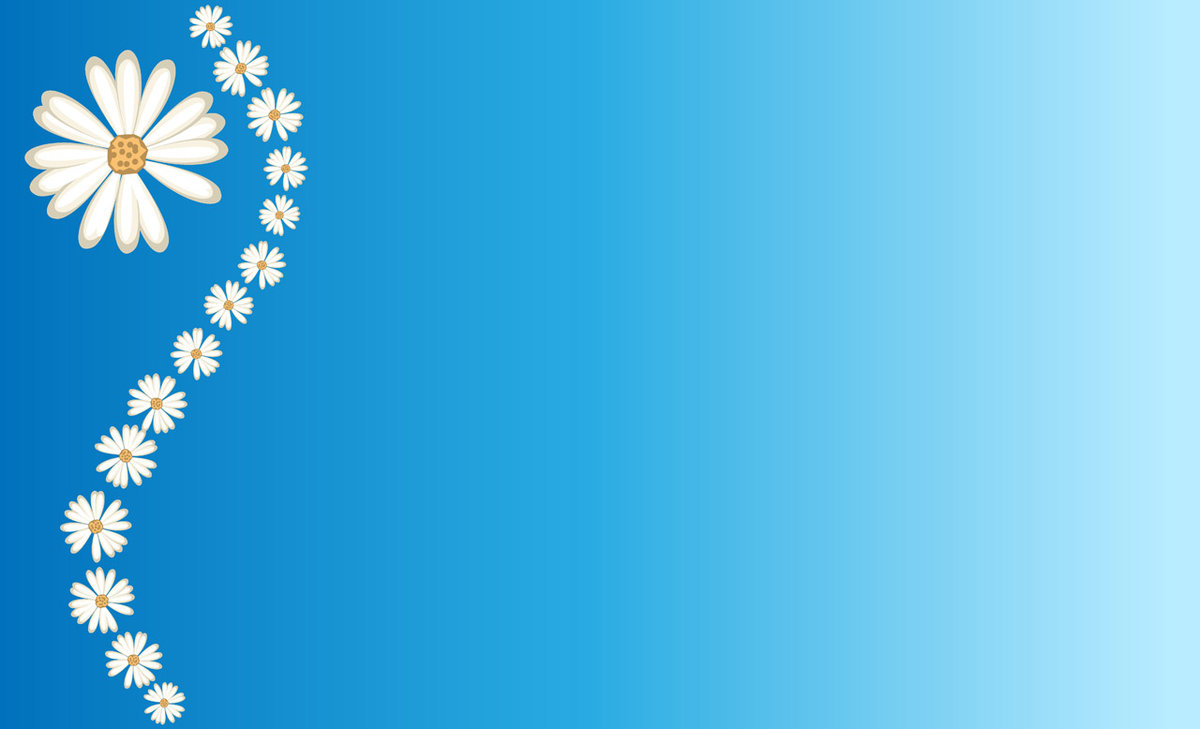 фон ромашки фото