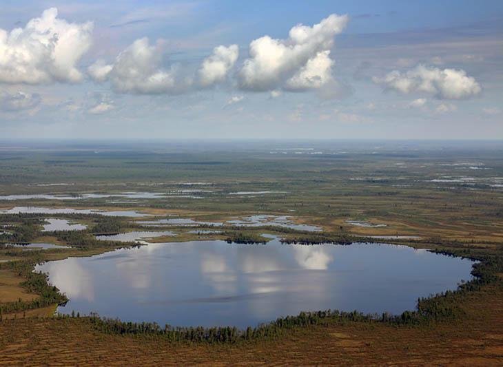 болото васюганский фото