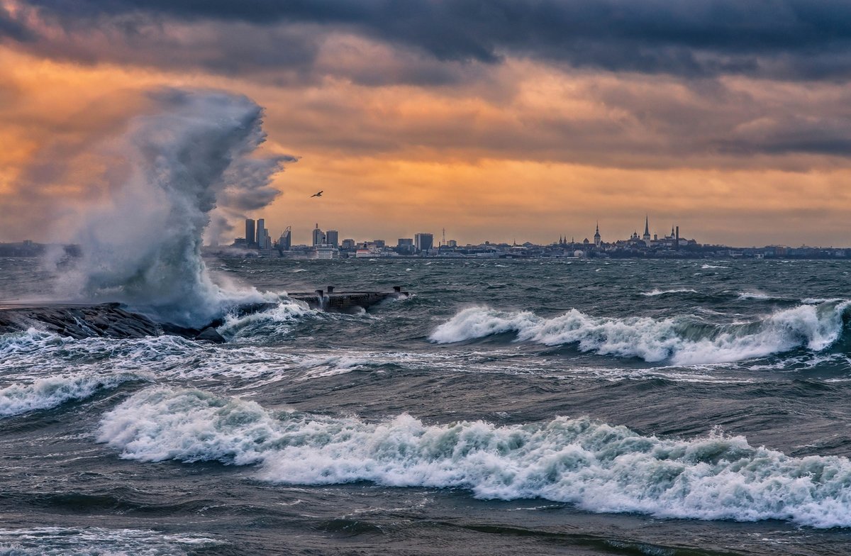 балтийское море шторм фото