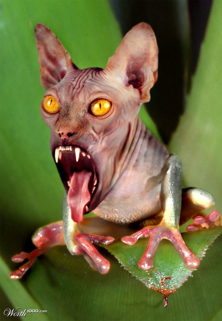 ������� ������� ��������, ������������ �������� ��������