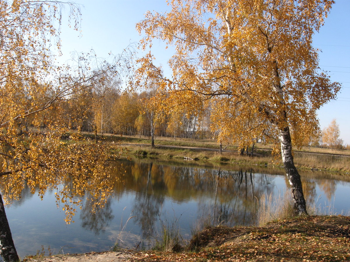 картинки подмосковье осень