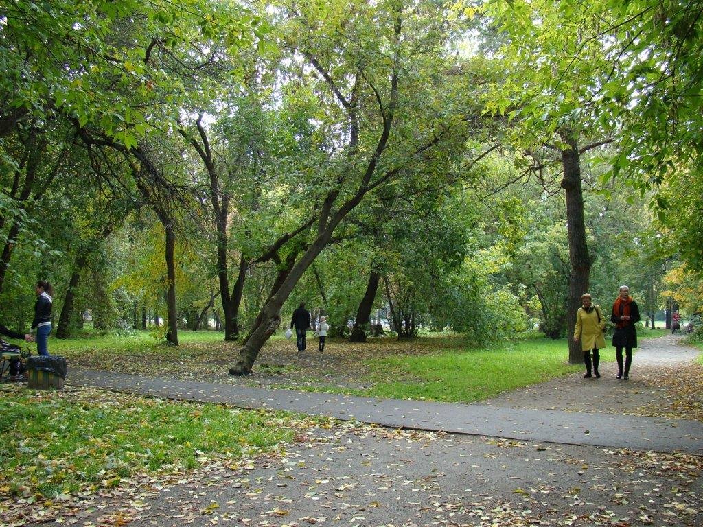 парк зеленая роща фото