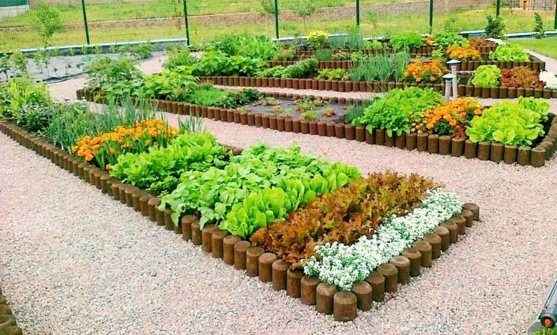 грядки клумбы мавританский дворик фото