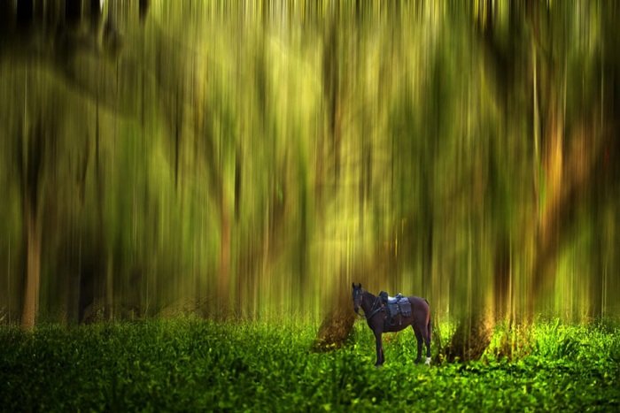 josh adamski фото