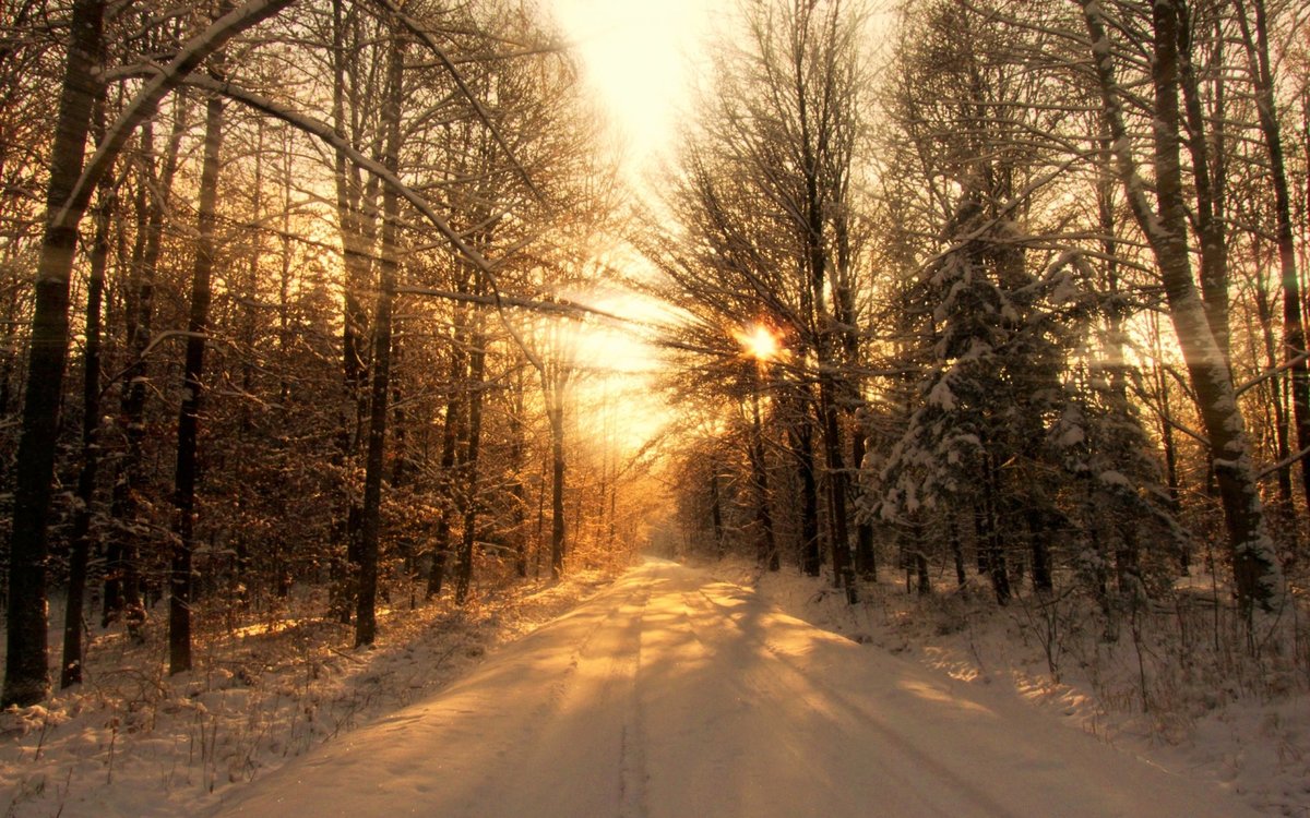зима солнце фото