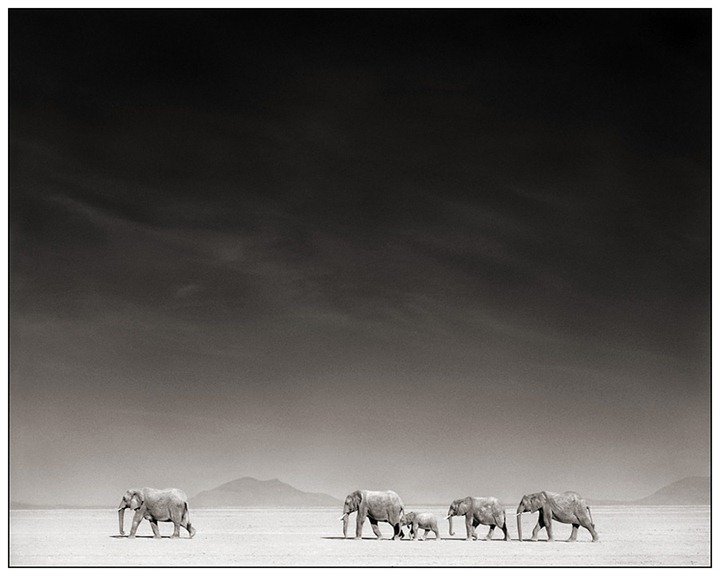 ник брандт фотограф фото