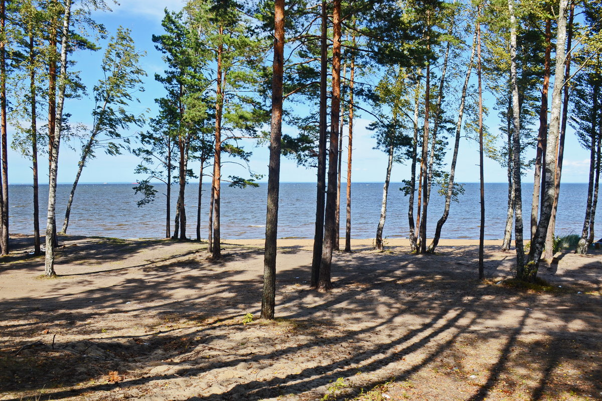 сямозеро карелия фото