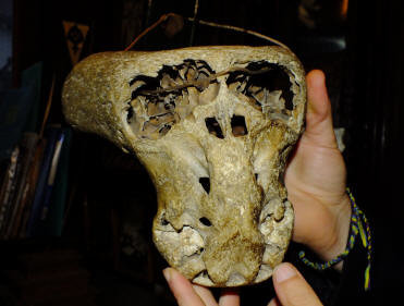 ÐÐÑ?ÐÐ¿ Ð¸Ð½Ð¾Ð¿ÐÐÐ½ÐÑ?Ñ?Ð½Ð¸Ð½Ð 5