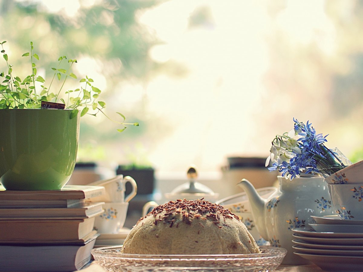 �������� ������ ���� ����