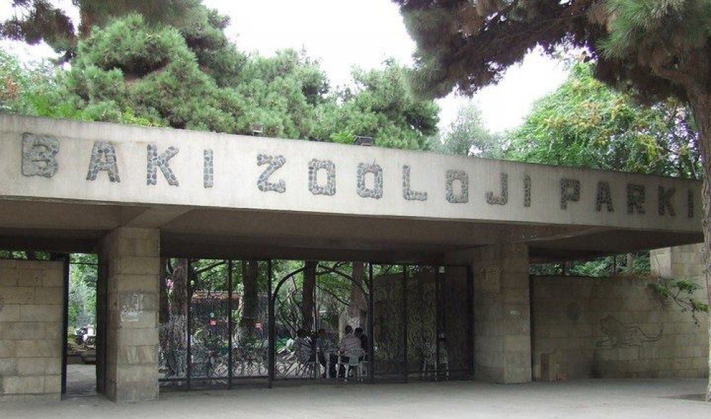 zoopark baki бакинский зоопарк фото
