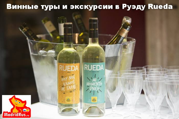 виньо верде вино фото