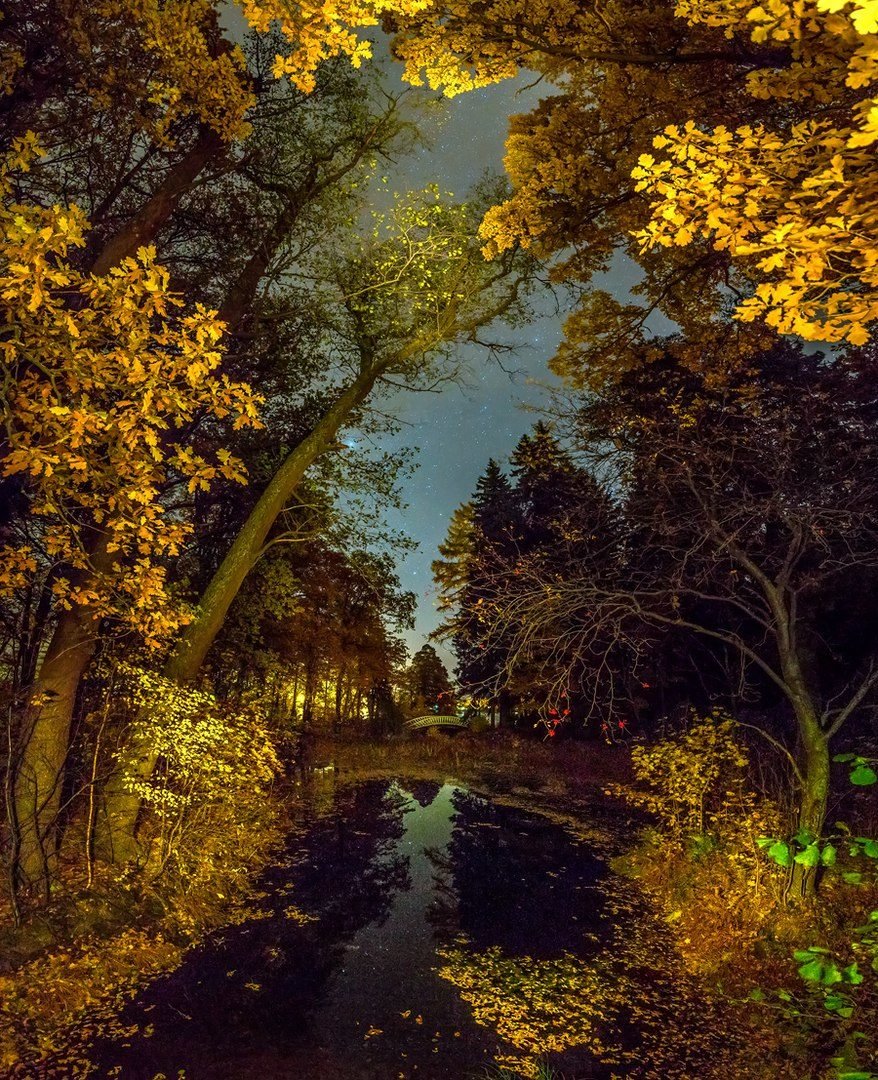 фёдор лашков фотограф река фото