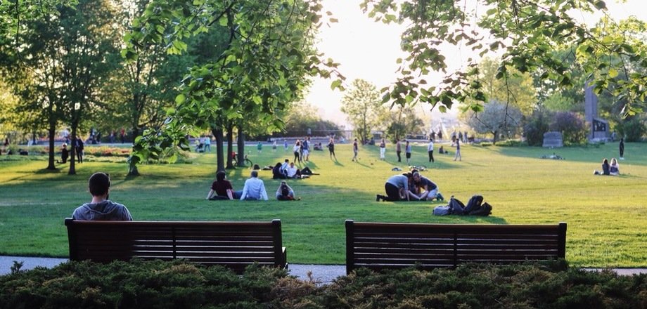 гайд парк в парке горького фото