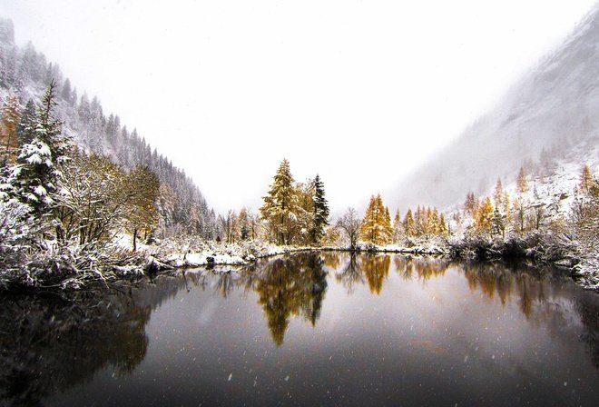 зима река лес фото