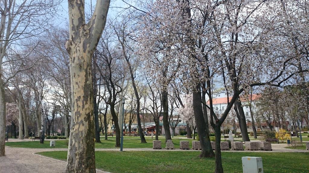 парк фрунзе новороссийск фото