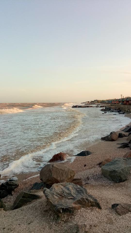 щелкино азовское море фото