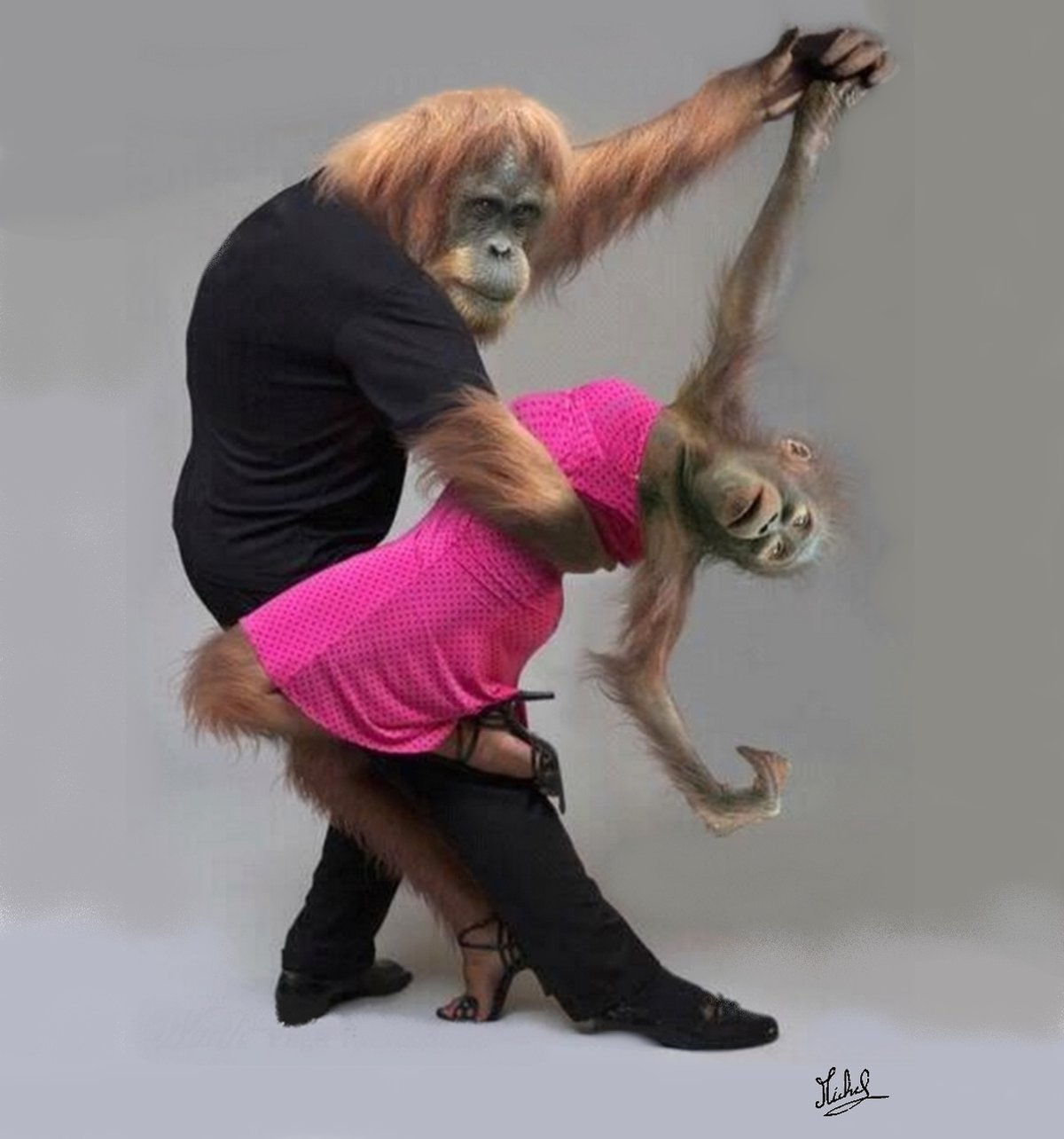 �������� ���, ������� �������� ��� �������������� ������ �� ����