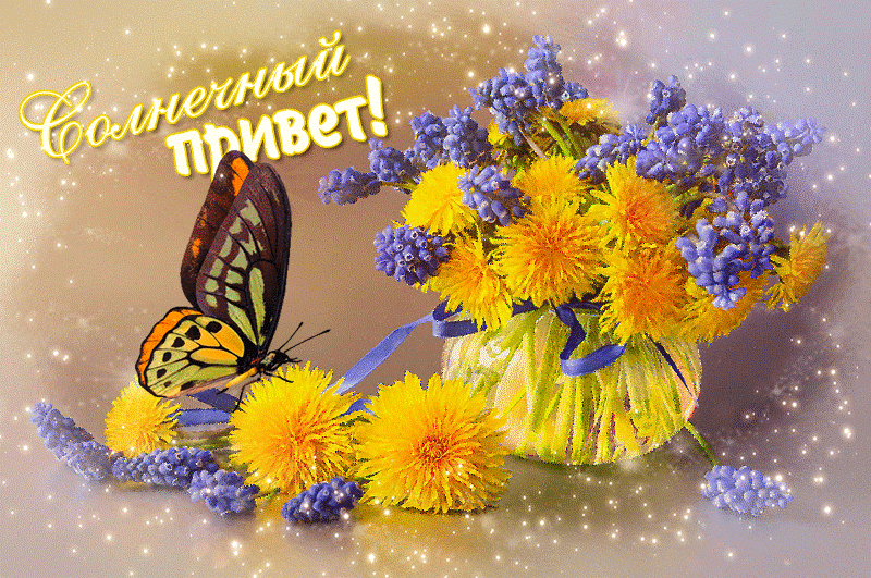 Солнечный привет картинки