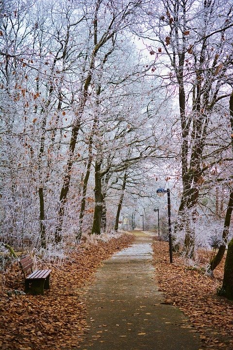 поздняя осень фото
