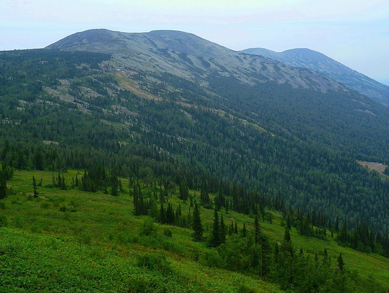 гора зеленая горная шория фото