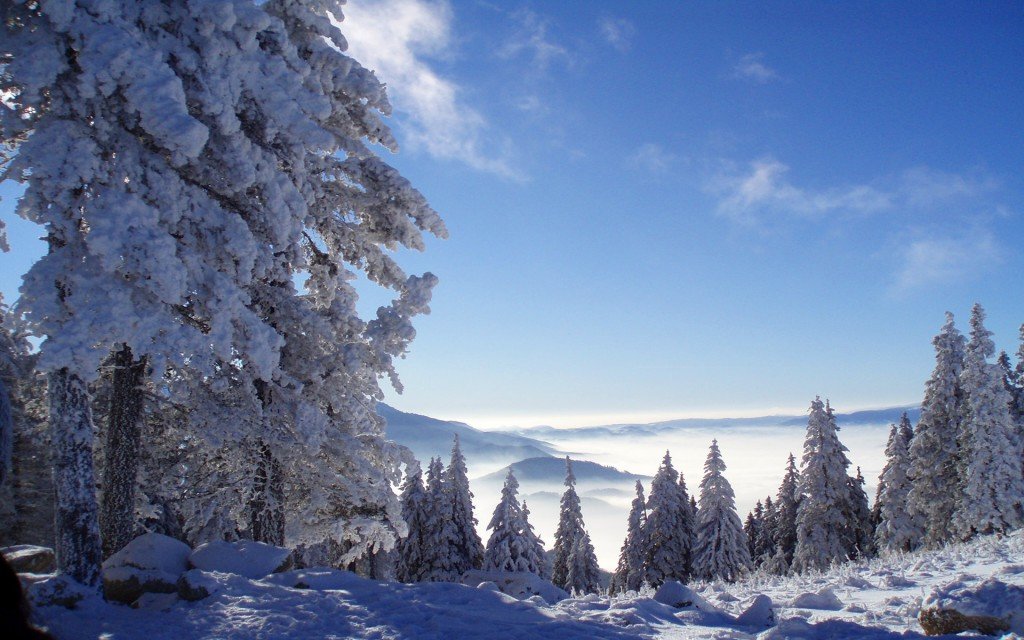 пейзаж зима фото