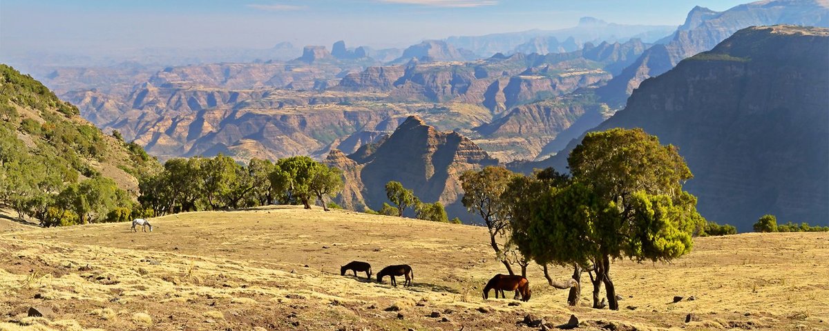 национальный парк сымен эфиопия фото