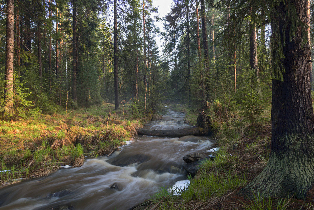 река иййоки карелия фото