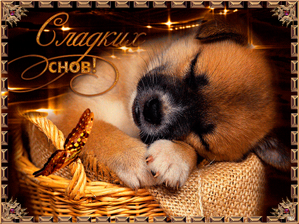 ����� �������� ������� ����